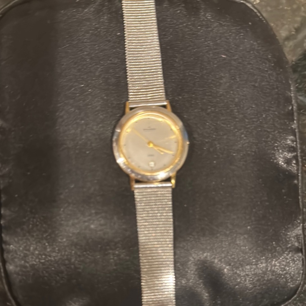 Skagen Silver and Gold Women's Watch